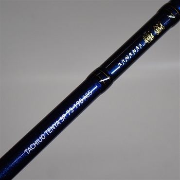 ２１極鋭タチウオテンヤＳＰ７３－１９０ＡＧＳ